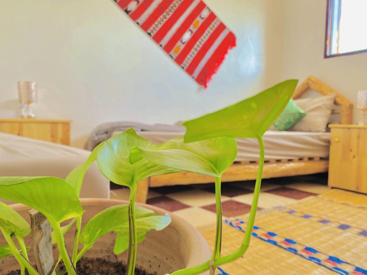 Tizaou Guest House 塔哈佐特 外观 照片