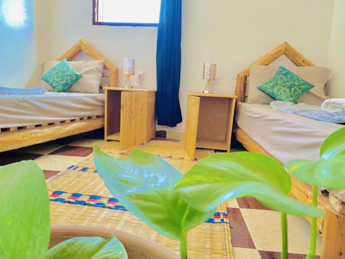 Tizaou Guest House 塔哈佐特 外观 照片